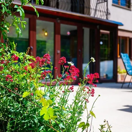 6bdr In Nature * Sarajevo